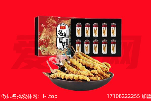 西乌珠穆沁旗回收虫草.jpg